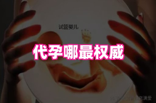 821孕网 2